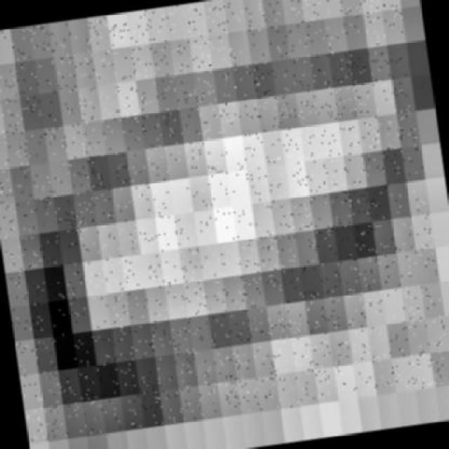 Dataset Image