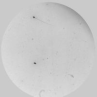 Dataset Image
