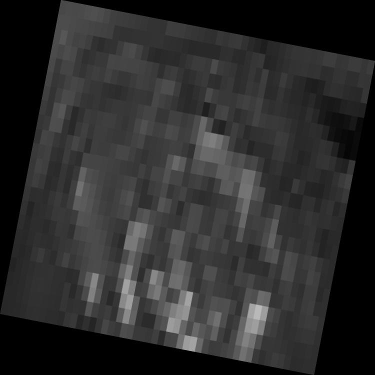 Dataset Image