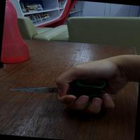 Dataset Image