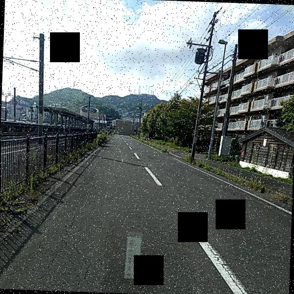 Dataset Image