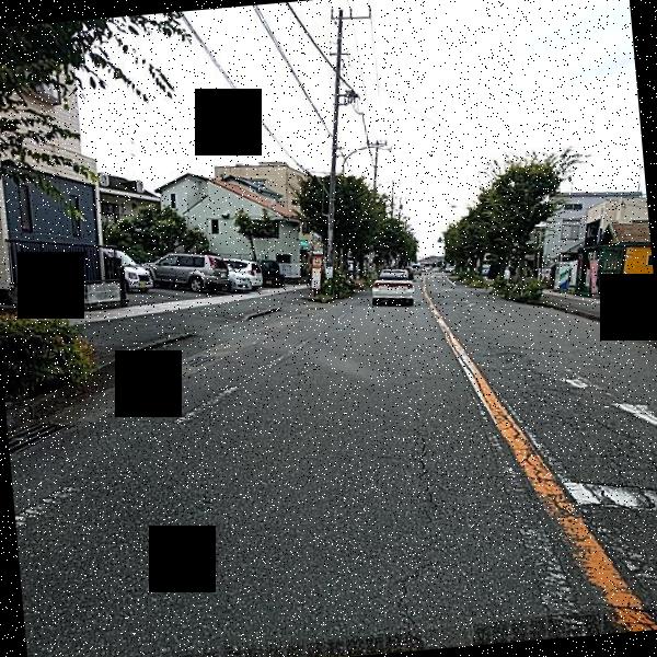 Dataset Image