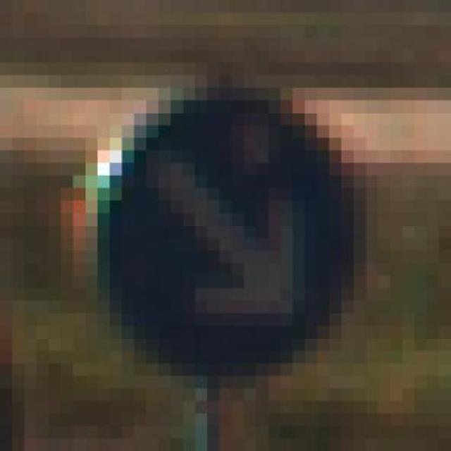 Dataset Image