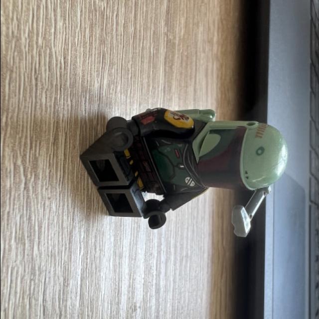 Dataset Image