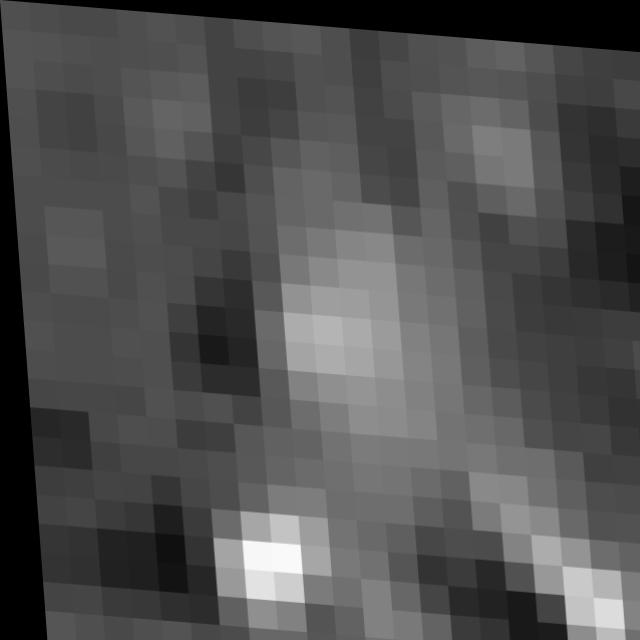 Dataset Image