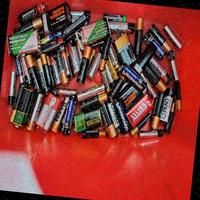 Dataset Image