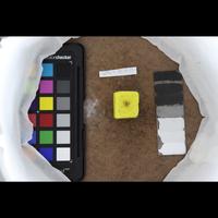 Dataset Image