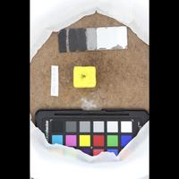 Dataset Image