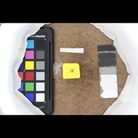Dataset Image