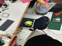 Dataset Image