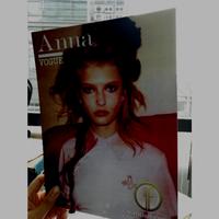 Dataset Image