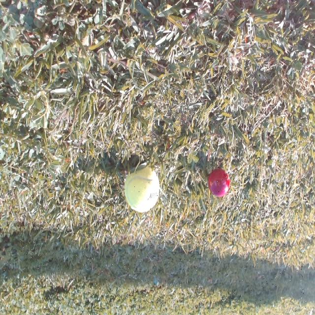 Dataset Image