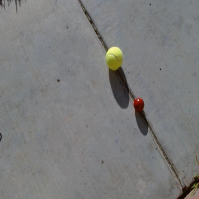 Dataset Image