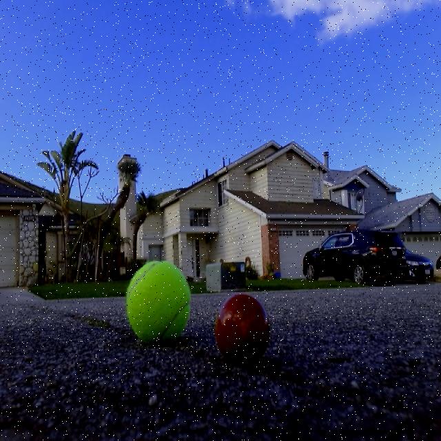 Dataset Image
