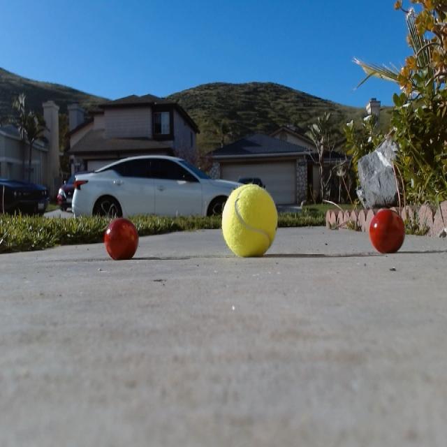 Dataset Image