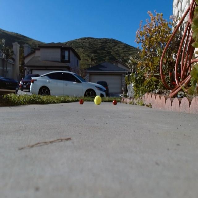 Dataset Image