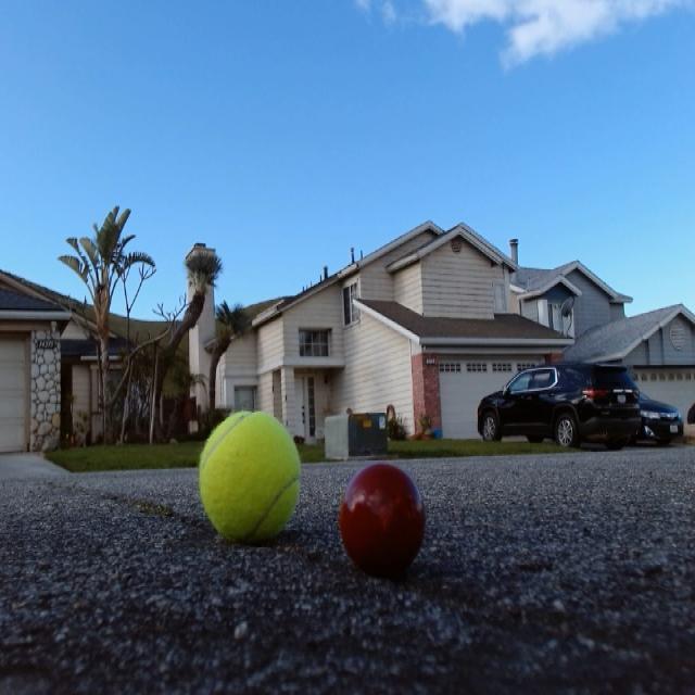 Dataset Image
