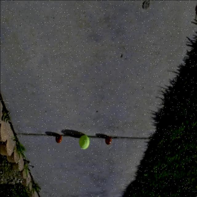 Dataset Image