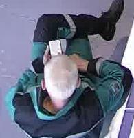 Dataset Image