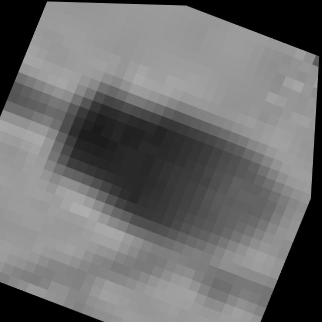 Dataset Image