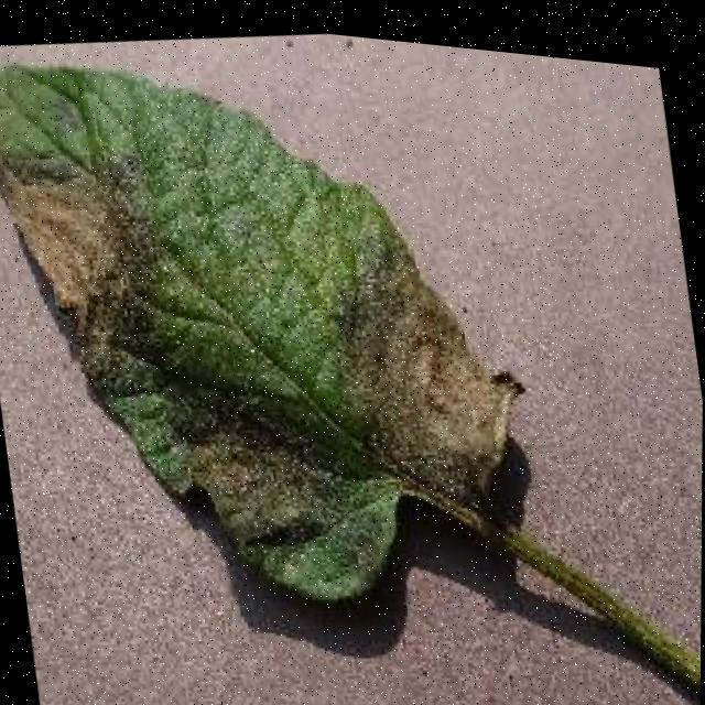 Dataset Image