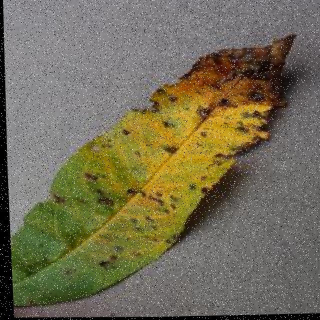 Dataset Image