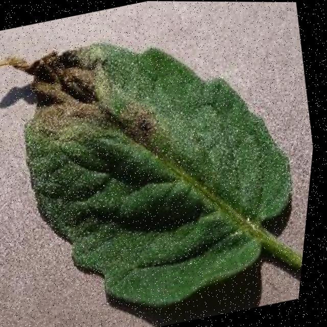 Dataset Image