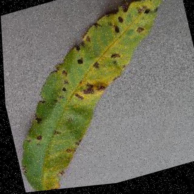 Dataset Image