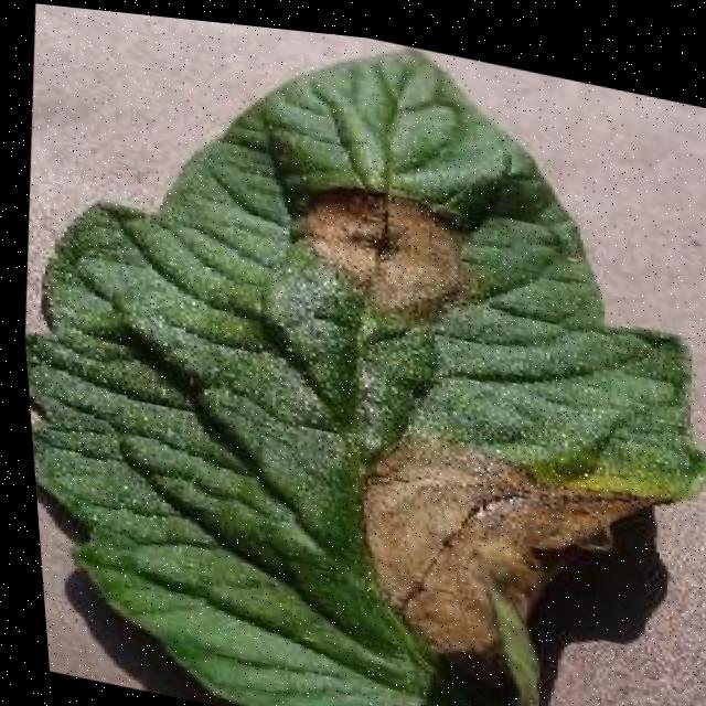 Dataset Image