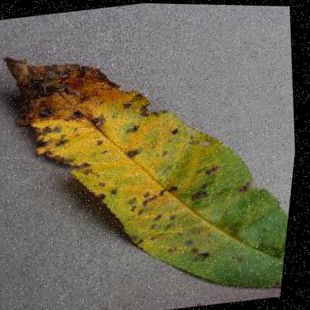 Dataset Image