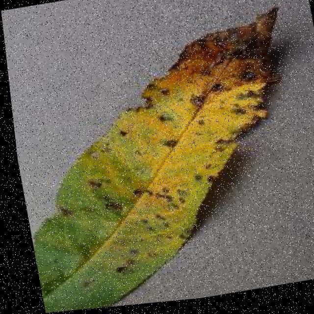 Dataset Image