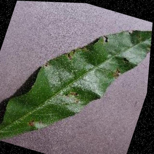 Dataset Image