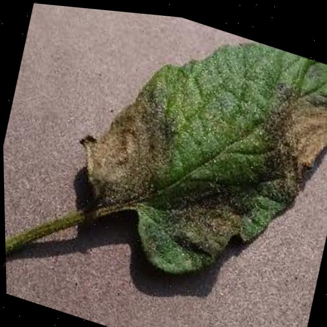 Dataset Image