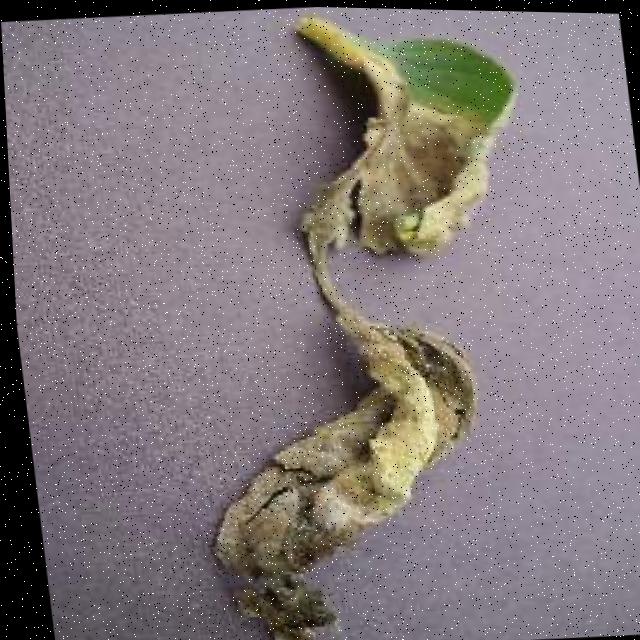 Dataset Image