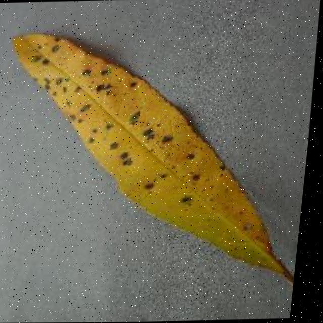 Dataset Image