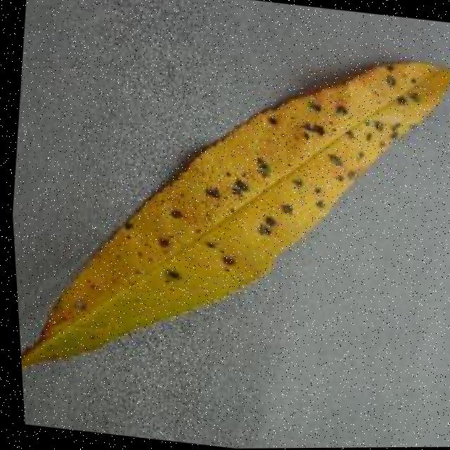 Dataset Image