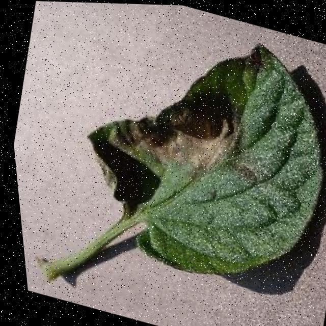 Dataset Image