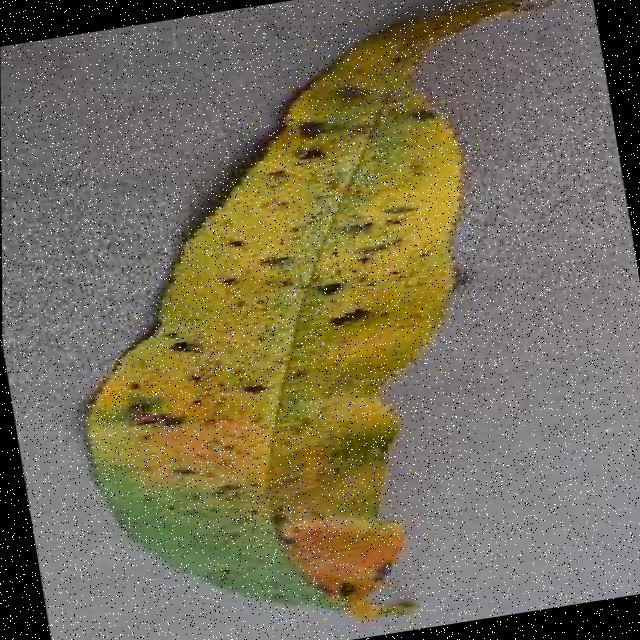 Dataset Image