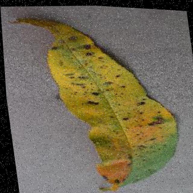 Dataset Image