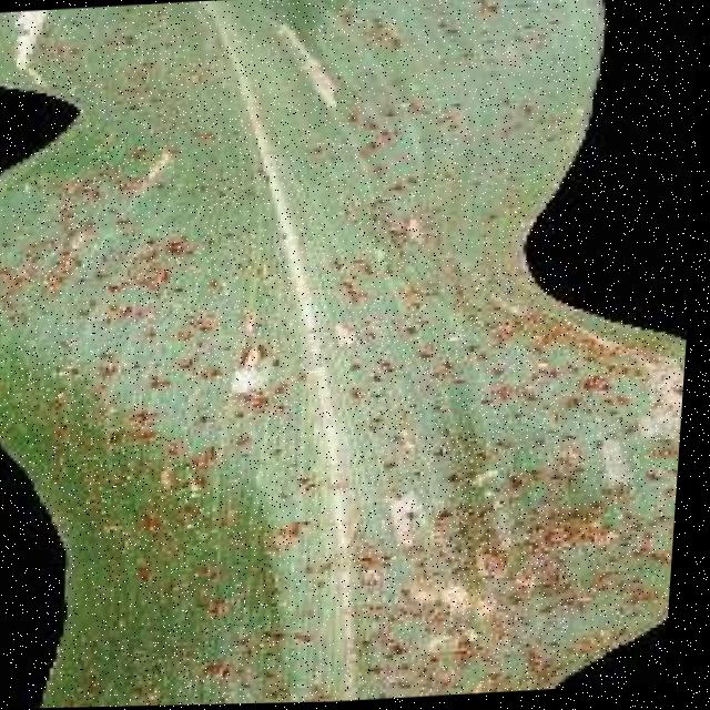 Dataset Image