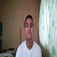 Dataset Image