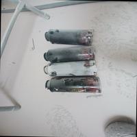 Dataset Image