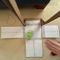 Dataset Image