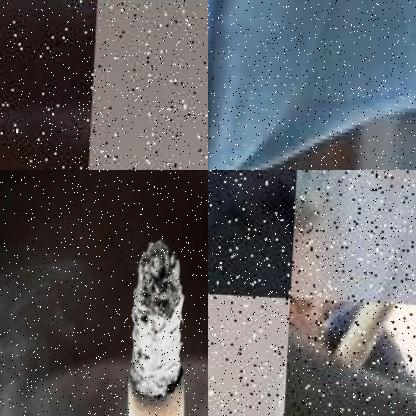 Dataset Image