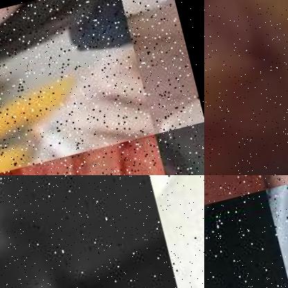 Dataset Image