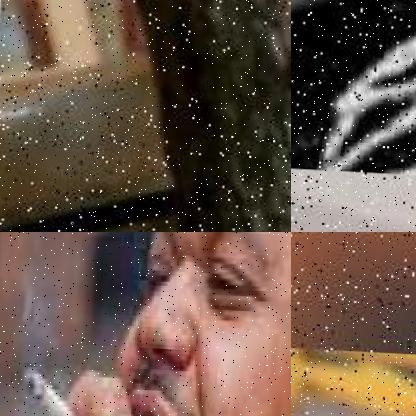 Dataset Image