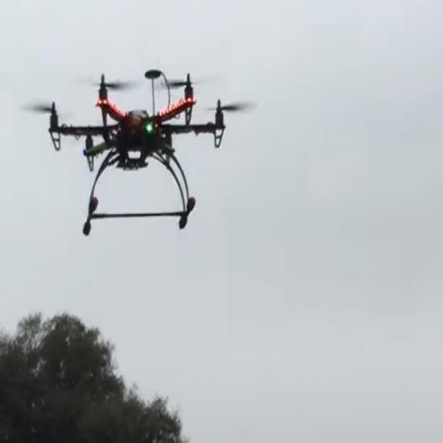 Dataset Image
