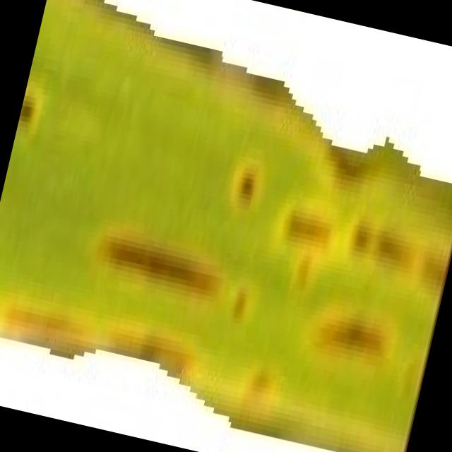 Dataset Image