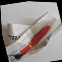 Dataset Image