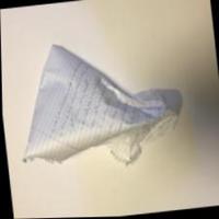 Dataset Image